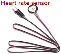 heart rate sensor